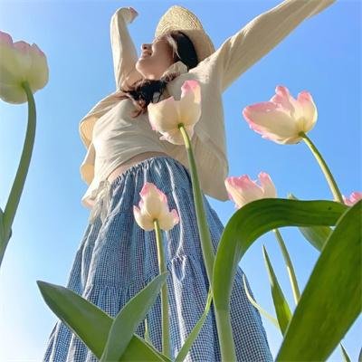 回西藏